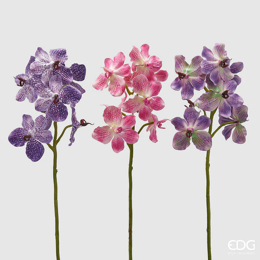 EDG Enzo De Gasperi Ramo di Orchidea Vanda H 70 cm 1pz