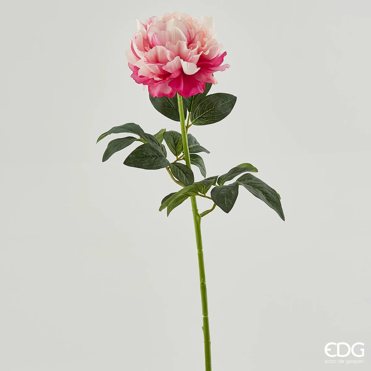 EDG Enzo De Gasperi Ramo di Peonia H72 cm Rosa