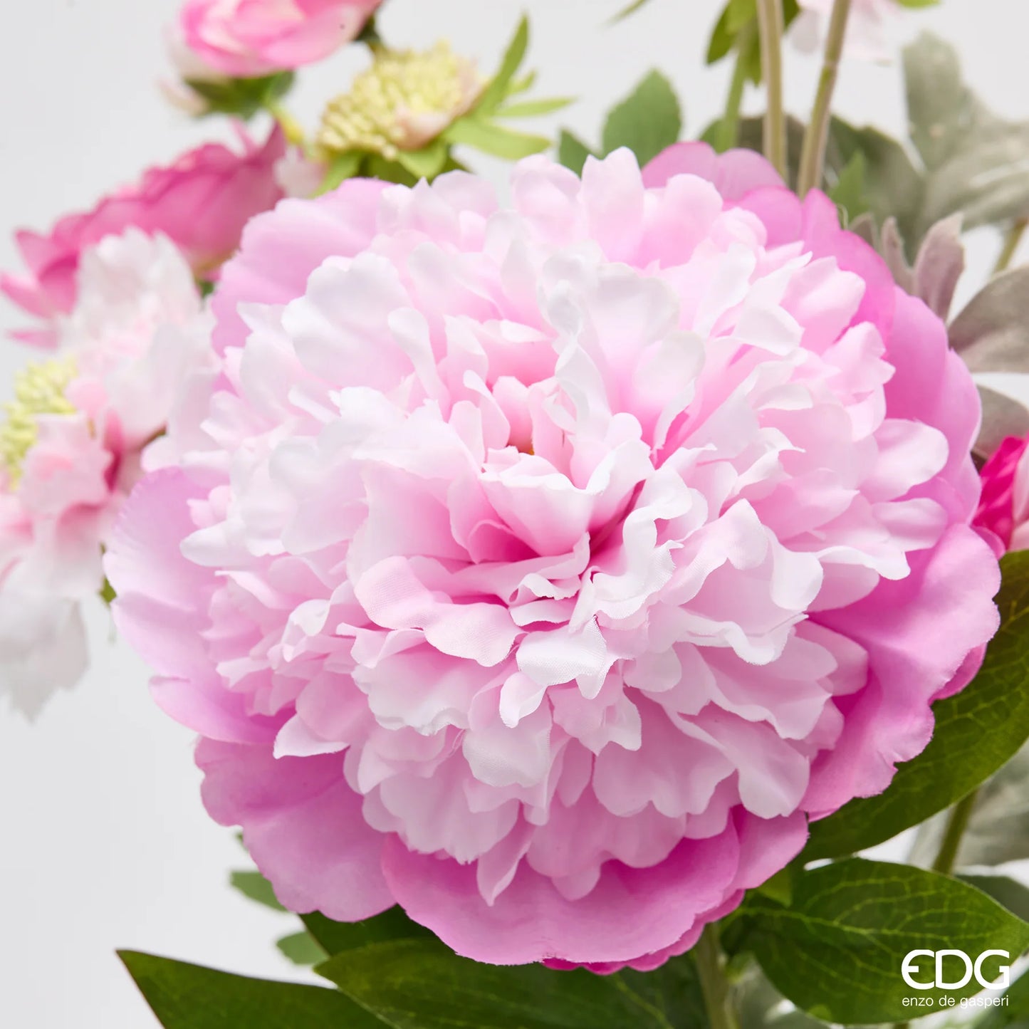 EDG Enzo De Gasperi Cespuglio Peonia H60 cm Rosa Scuro