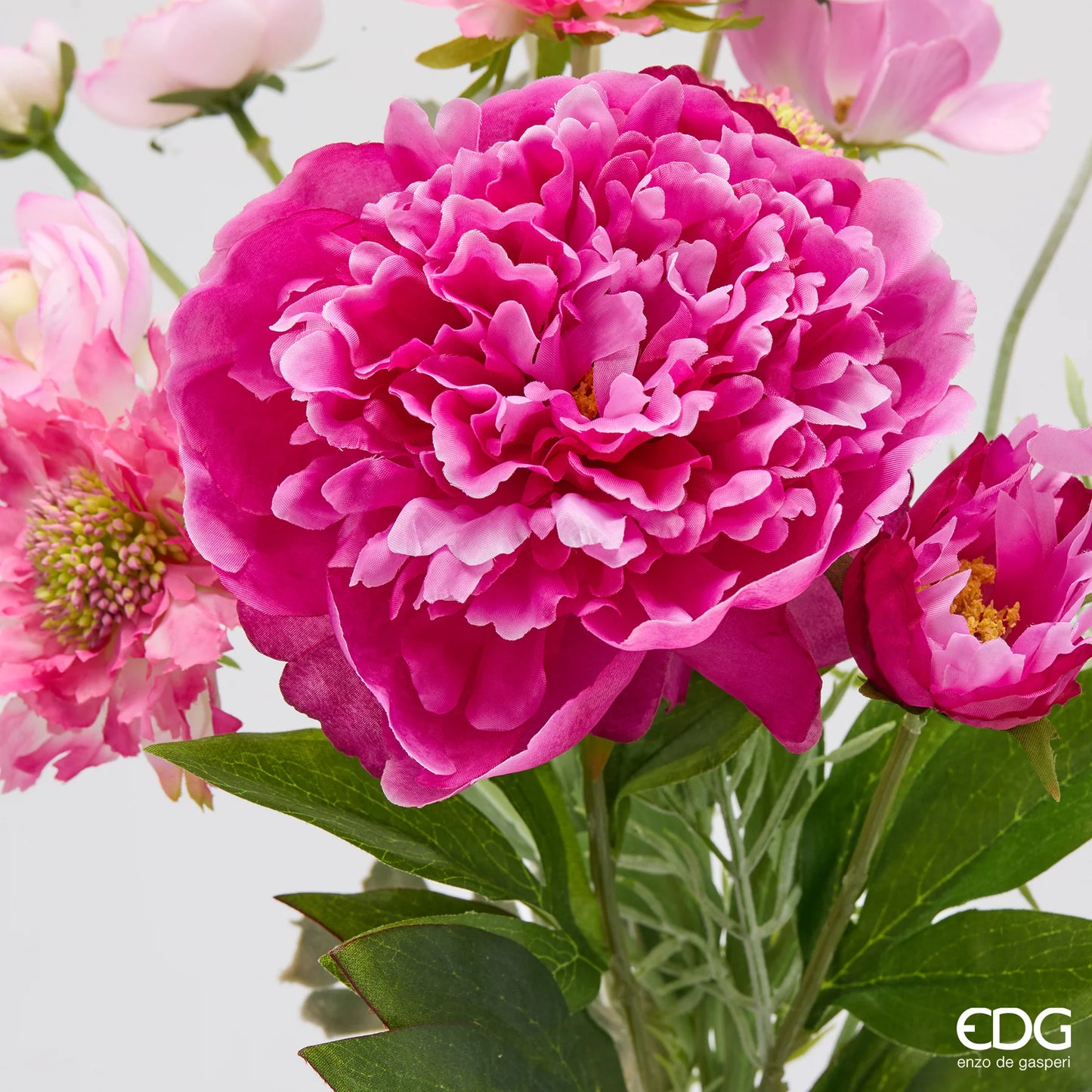 EDG Enzo De Gasperi Cespuglio Peonia H60 cm Fuchsia