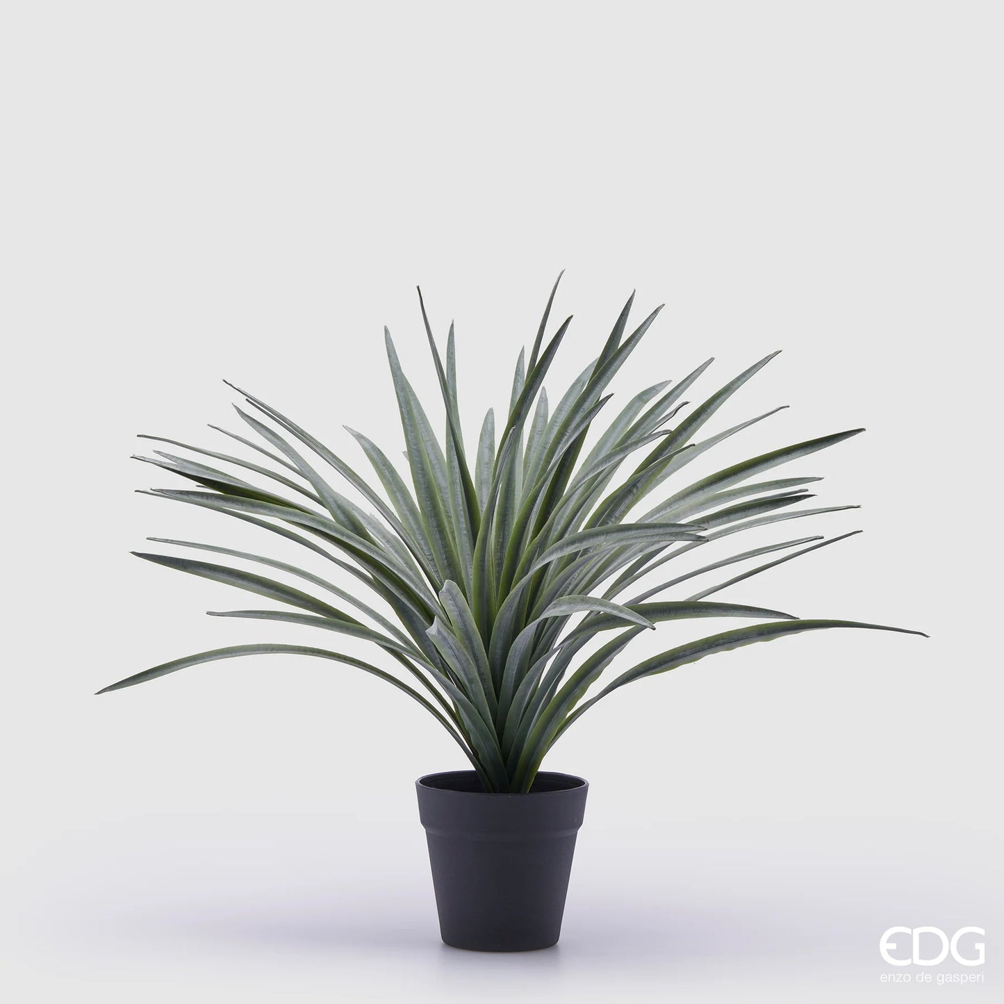 EDG Enzo De Gasperi pianta Bromelia con vaso H45 cm