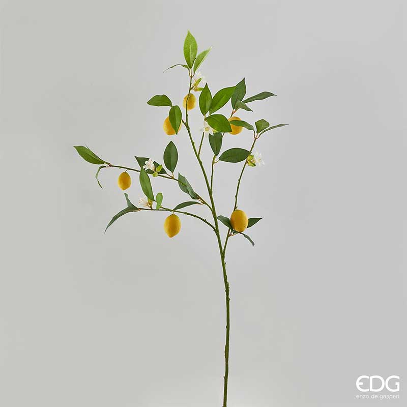 EDG Enzo De Gasperi Ramo di Limone Rex H 103 cm