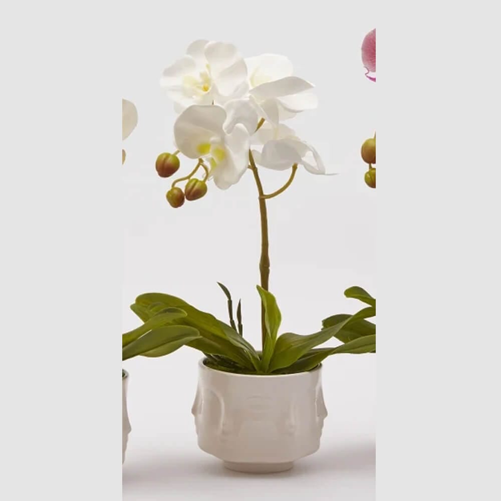 EDG Enzo De Gasperi Orchidea Artificiale H 40 Cm Ass. Bianca o Gialla o Fuxia 1 Pz