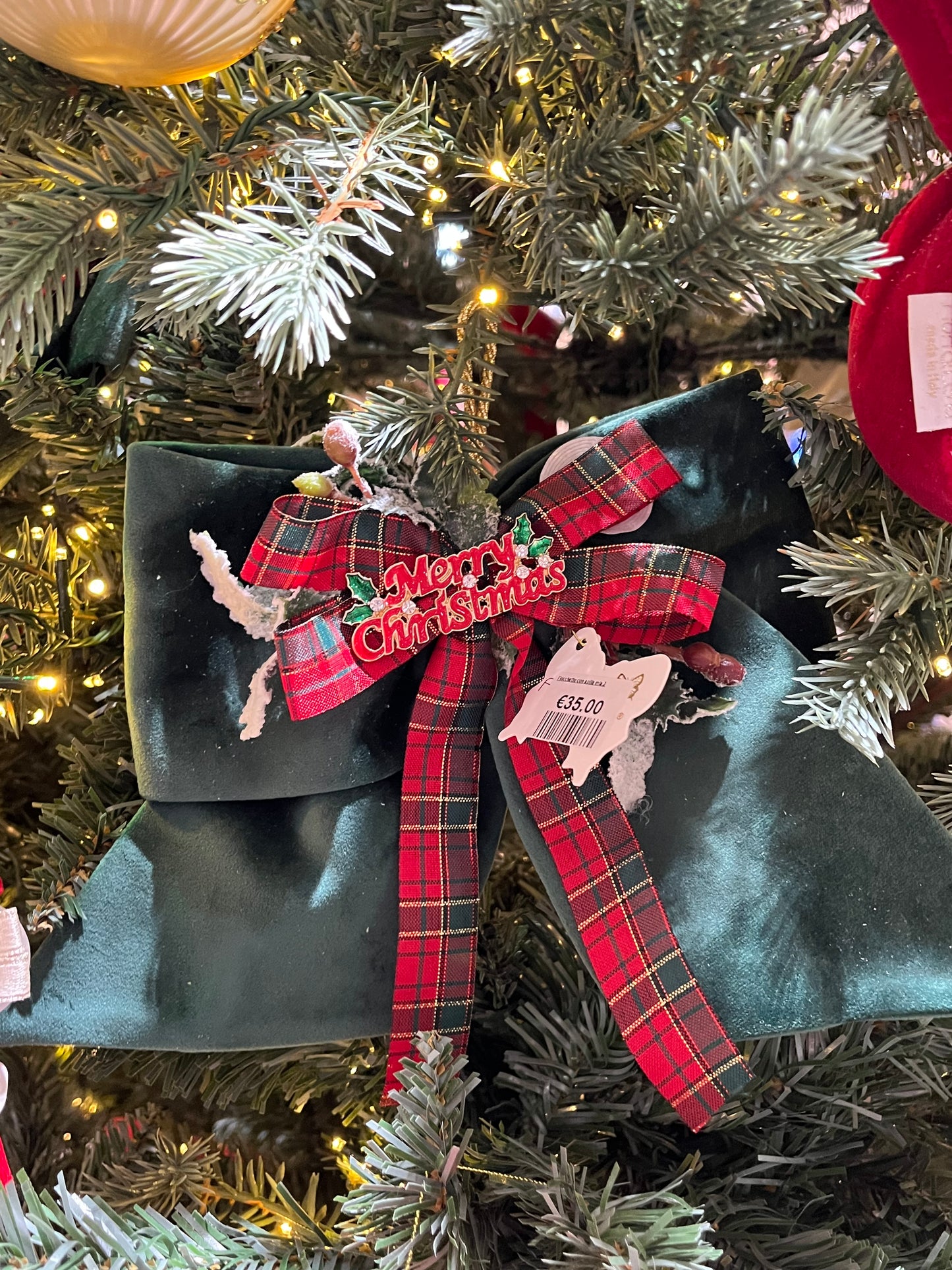 FDL Fiocco Meet Christmas