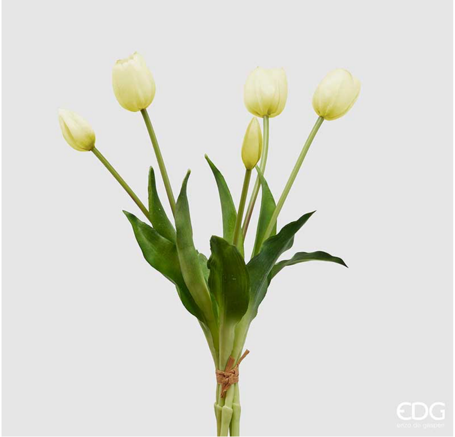 EDG Enzo de Gasperi Bouquet di tulipani Bianchi