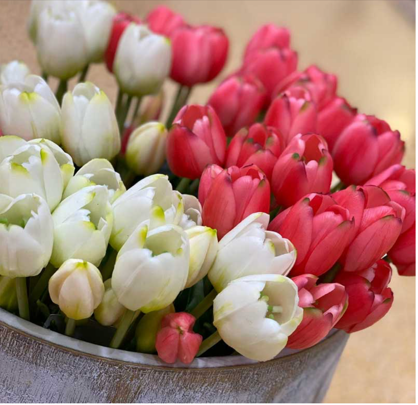 EDG Enzo de Gasperi Bouquet di tulipani Bianchi