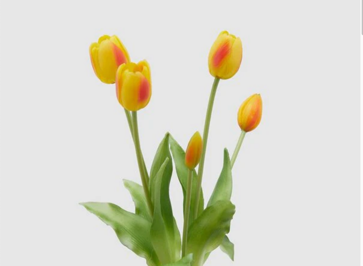 EDG Enzo de Gasperi Bouquet di tulipani Bianchi