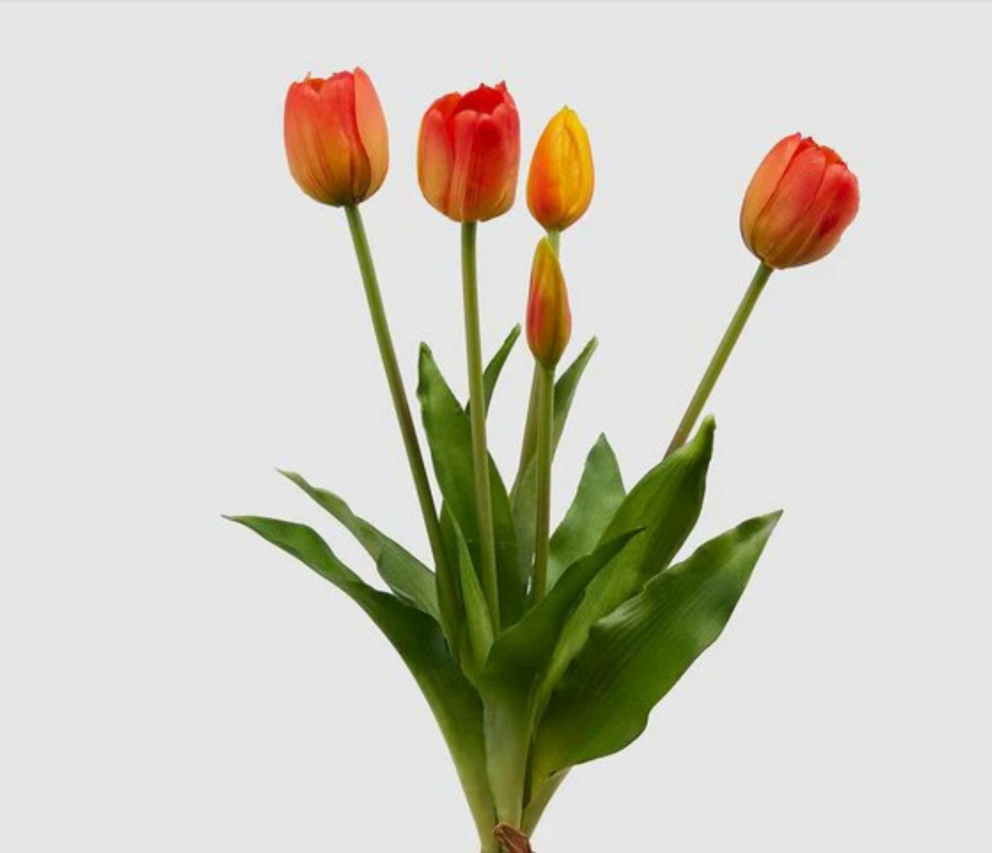 EDG Enzo de Gasperi Bouquet di tulipani Bianchi