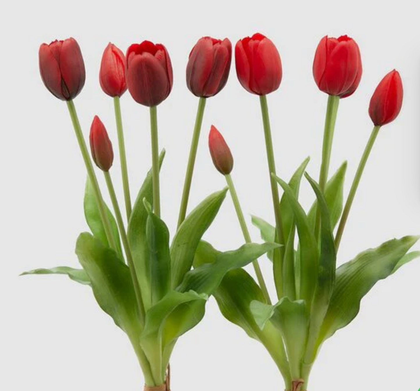 EDG Enzo de Gasperi Bouquet di tulipani Bianchi