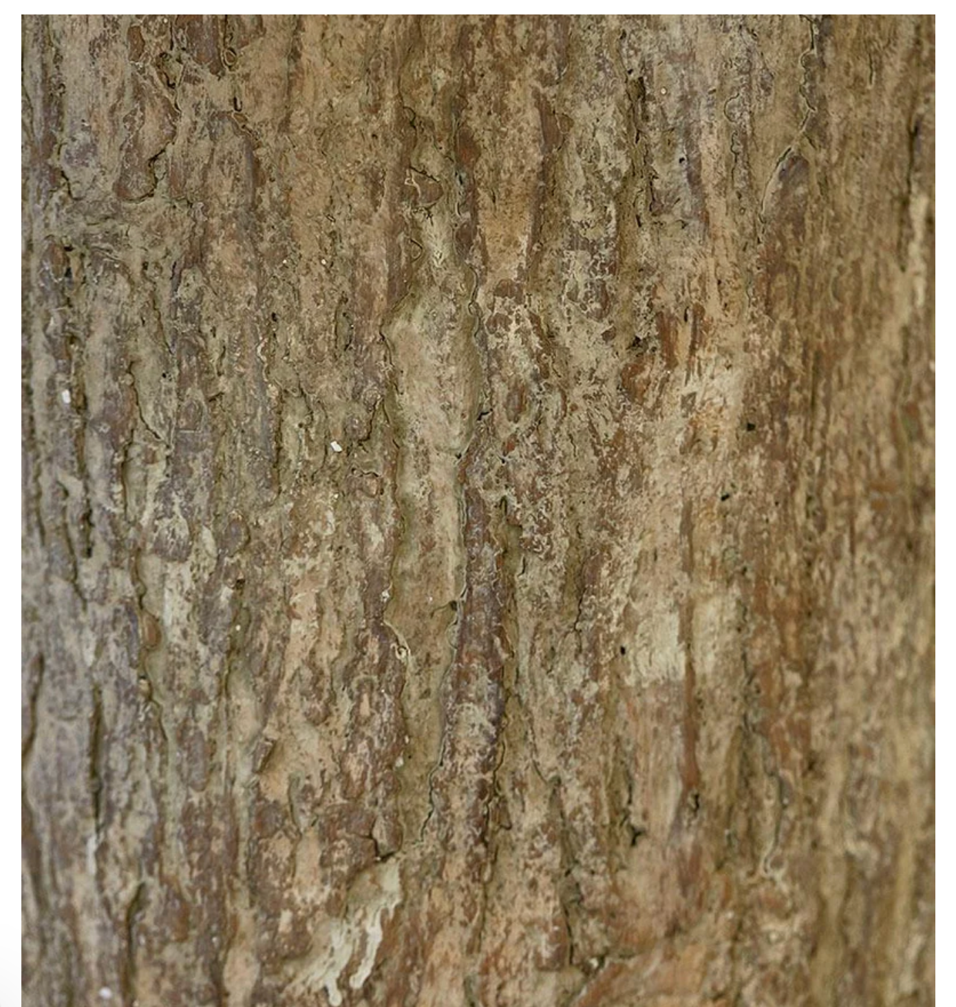 Enzo De Gasperi Base Tronco effetto legno H 55 cm per Albero di Natale