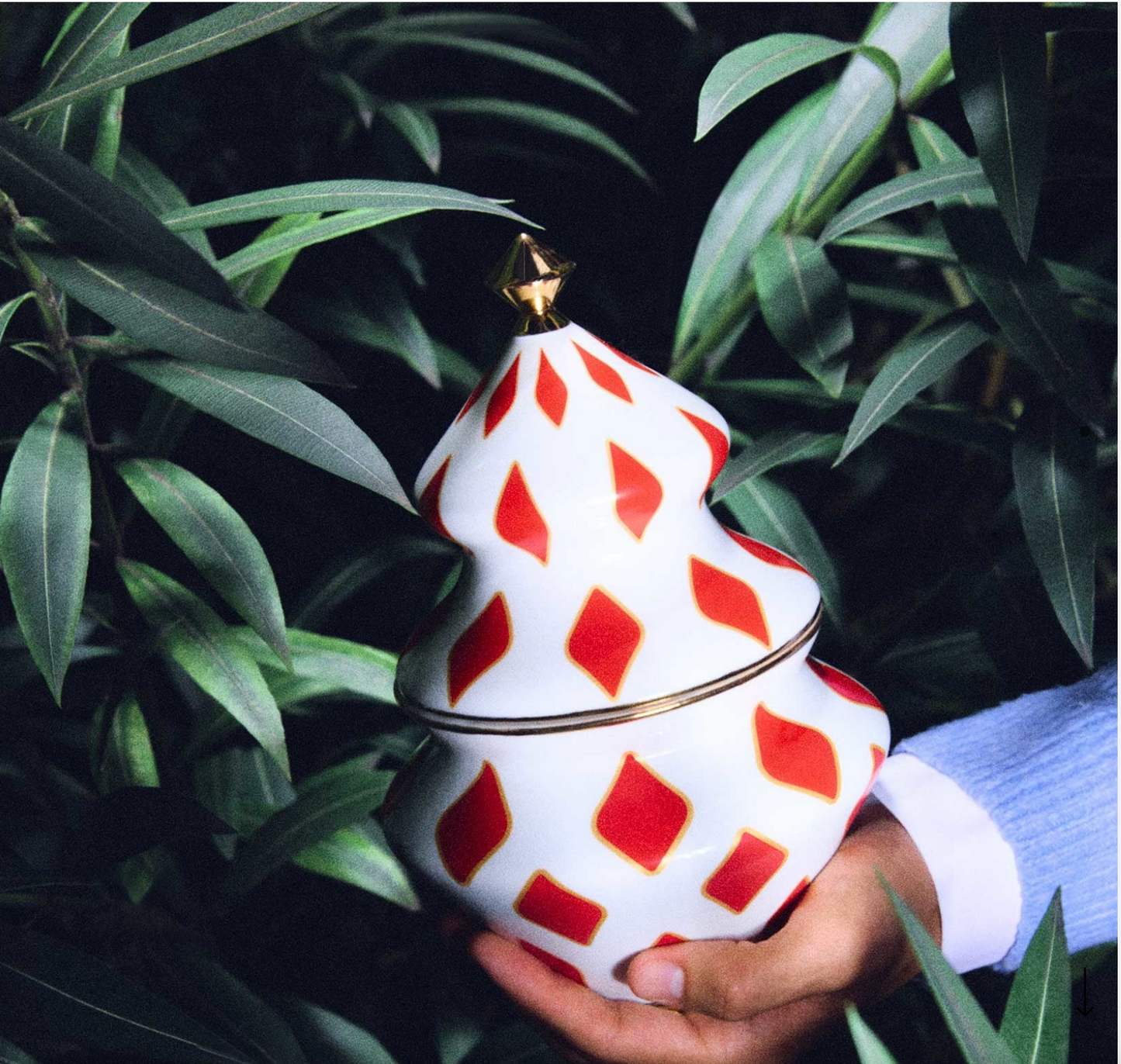 Alessi Contenitore per Dolci Natalizio Delight in Porcellana