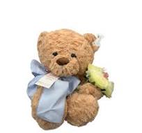 Fiori di Lena Teddy con Fiocco Verde e Bouquet di Rose H45