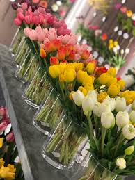 EDG Enzo De Gasperi Bouquet 5 Tulipani Olis Violet H 40 cm