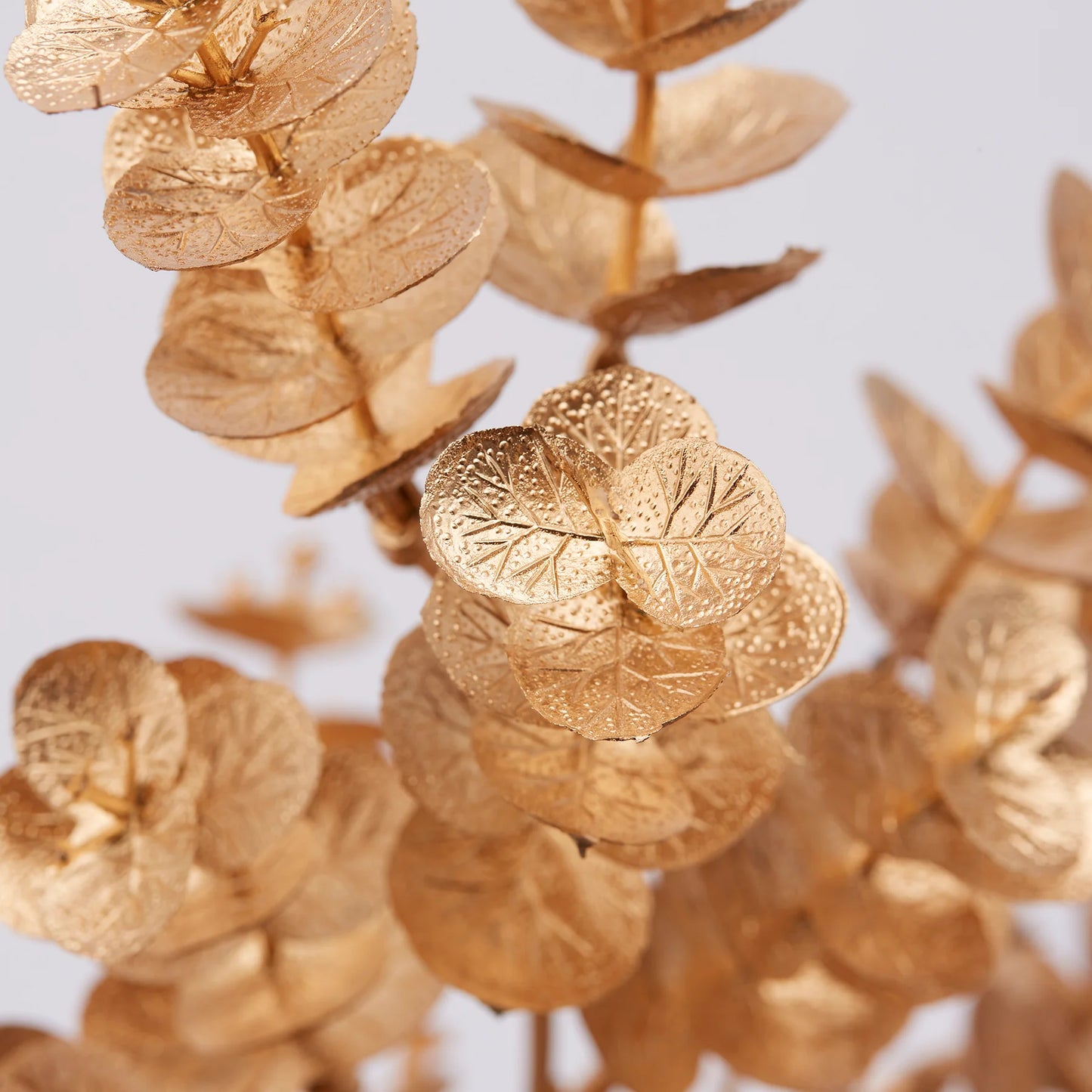 EDG Enzo De Gasperi Ramo di Eucalipto Gold H95 cm Oro