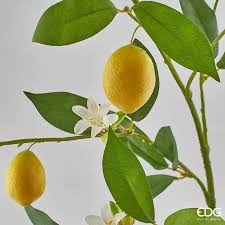 EDG Enzo De Gasperi pianta di Limoni Artificiale con Vaso H56 cm