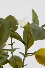 EDG Enzo De Gasperi Limone con Vaso e Foglie x6 Pianta Artificiale H 60 Cm