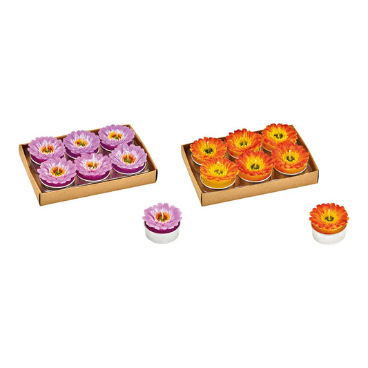 🕯️ Wurm – Tea Light Gerberer in Cera Colorata – Set da 6 – 2 Modelli