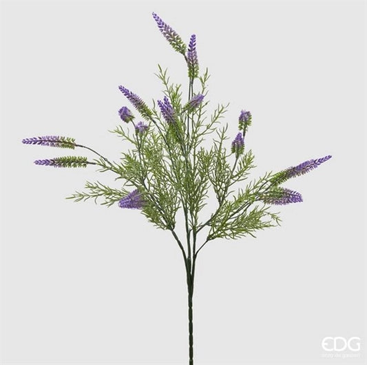 EDG  LAVAND Ramo Lavanda Olis H 70 cm X18