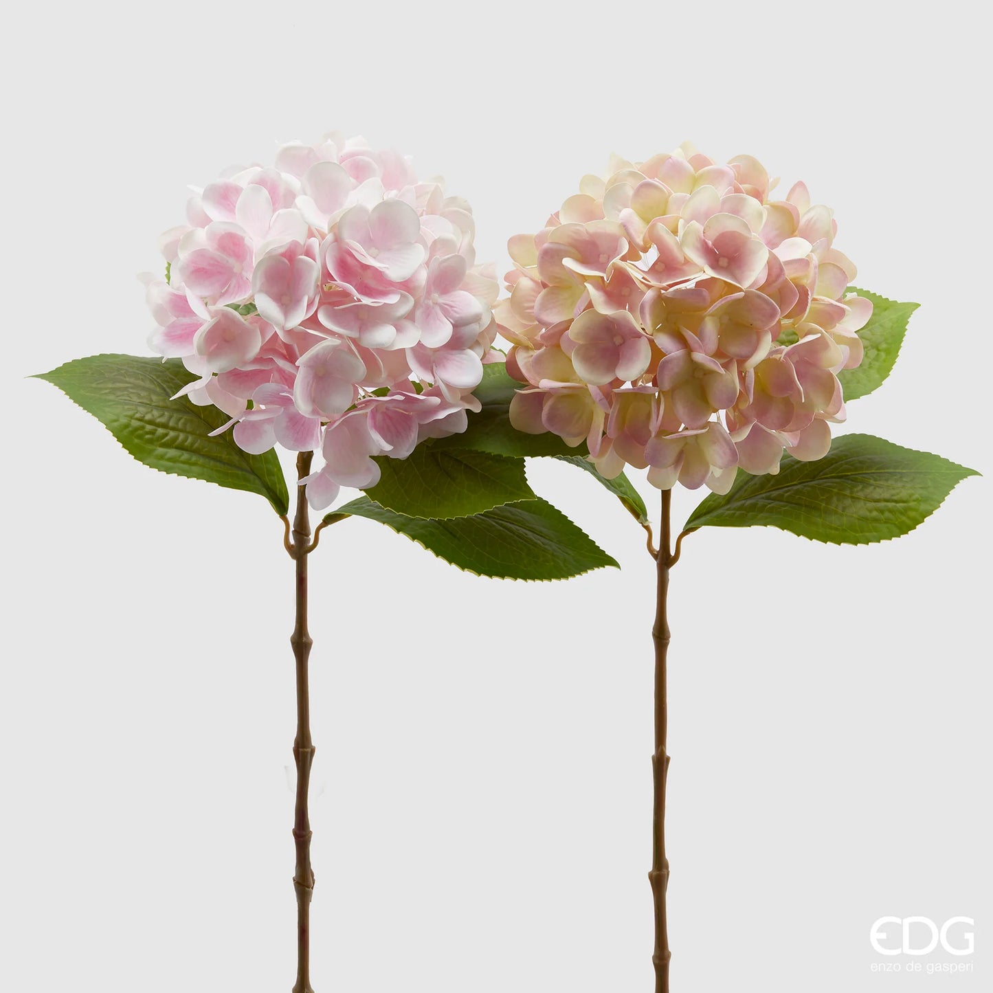 EDG Enzo De Gasperi Set 2 Rami di Ortensia Nobile Rosa Crema H60 cm