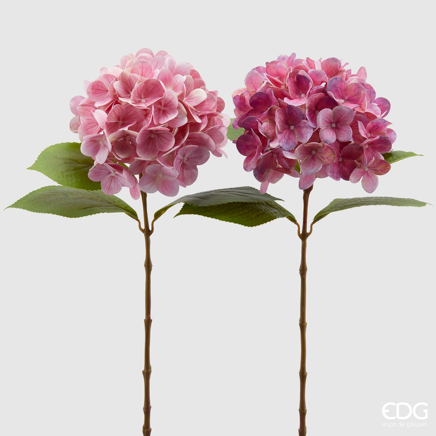 EDG Enzo De Gasperi Set 2 Rami di Ortensia Nobile Rosa Sfumato H60 cm