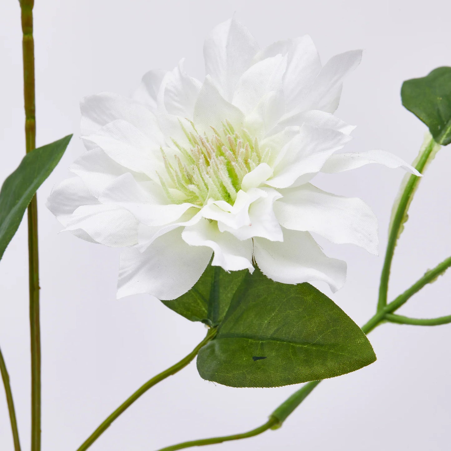 EDG Enzo De Gasperi Ramo di Clematis con Boccioli Bianco H105 cm