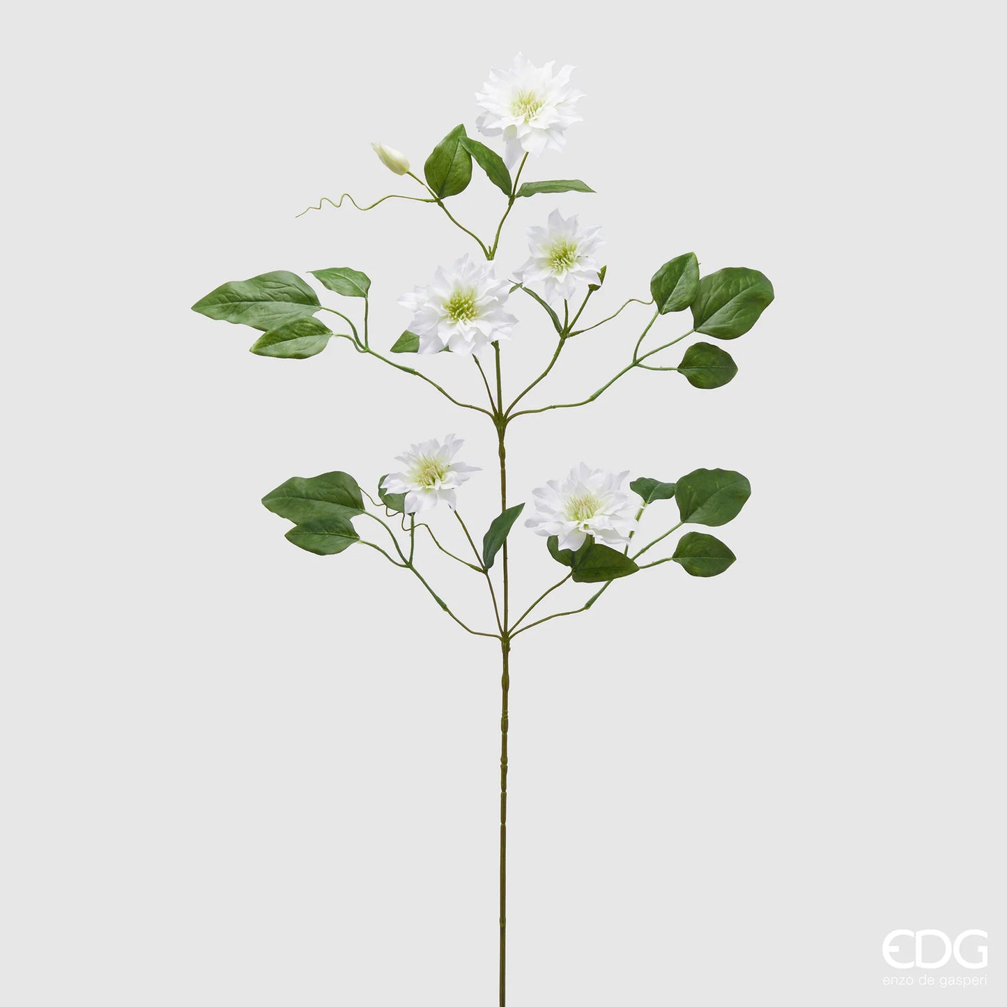 EDG Enzo De Gasperi Ramo di Clematis con Boccioli Bianco H105 cm