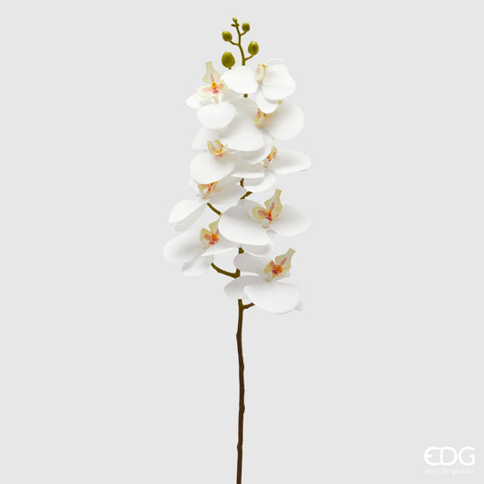 EDG Enzo De Gasperi Ramo di Orchidea Phalaenopsis H94 cm Bianco