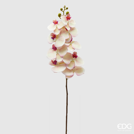 EDG Enzo De Gasperi Ramo di Orchidea Phalaenopsis H94 cm Bianco Sfumato