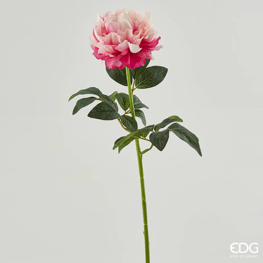 EDG Enzo De Gasperi Ramo di Peonia H72 cm Rosa