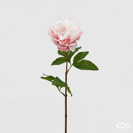 EDG Enzo De Gasperi Ramo di Peonia H72 cm  Sfumato Bianco
