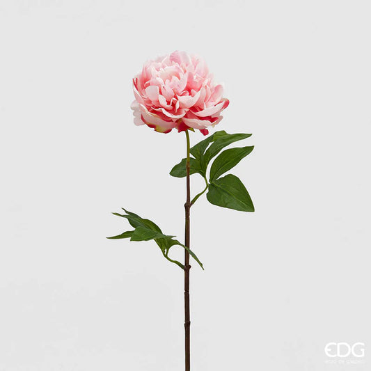 EDG Enzo De Gasperi Ramo di Peonia H72 cm  Sfumato Rosa