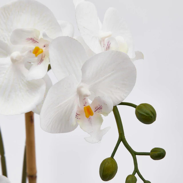 EDG Enzo De Gasperi Orchidea Phalaenopsis Pianta x3 Artificiale con Cesto H 48 Cm White