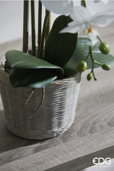EDG Enzo De Gasperi Orchidea Phalaenopsis Pianta x3 Artificiale con Cesto H 48 Cm White