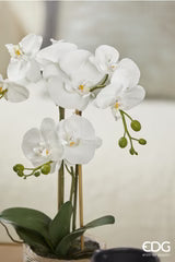 EDG Enzo De Gasperi Orchidea Phalaenopsis Pianta x3 Artificiale con Cesto H 48 Cm White