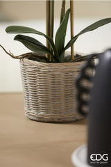 EDG Enzo De Gasperi Orchidea Phalaenopsis Pianta x3 Artificiale con Cesto H 48 Cm White