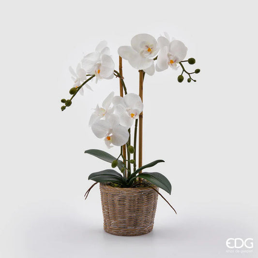 EDG Enzo De Gasperi Orchidea Phalaenopsis Pianta x3 Artificiale con Cesto H 48 Cm White