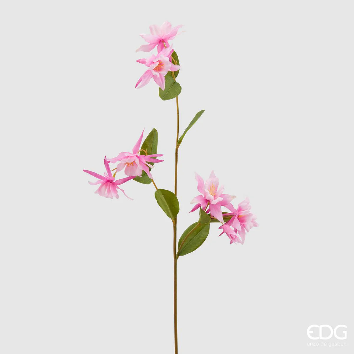 Edg Enzo De Gasperi Ramo Di Aquilegia 6 Fiori Rosa H85 Cm 2 Varianti