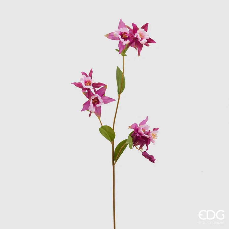 Edg Enzo De Gasperi Ramo Di Aquilegia 6 Fiori Rosa H85 Cm 2 Varianti