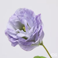 EDG Enzo De Gasperi Set 2 Rami di Lisiantus H71 cm Viola e Lilla
