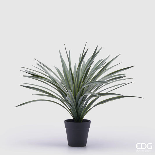 EDG Enzo De Gasperi pianta Bromelia con vaso H45 cm