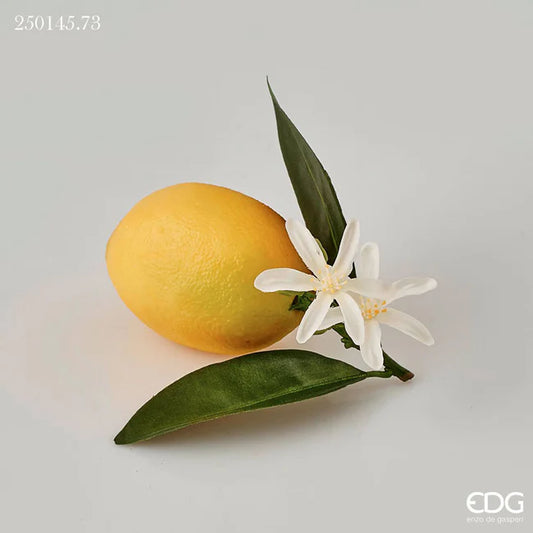 EDG Enzo De Gasperi Limone Duke Con Foglie e Fiori 12 cm
