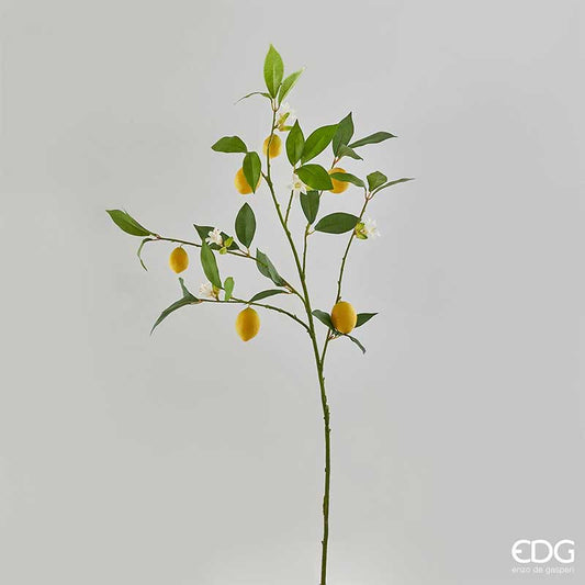 EDG Enzo De Gasperi Ramo di Limone Rex H 103 cm