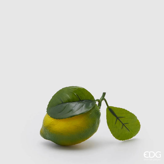 EDG Enzo De Gasperi Limone Duke con Foglie D10 cm