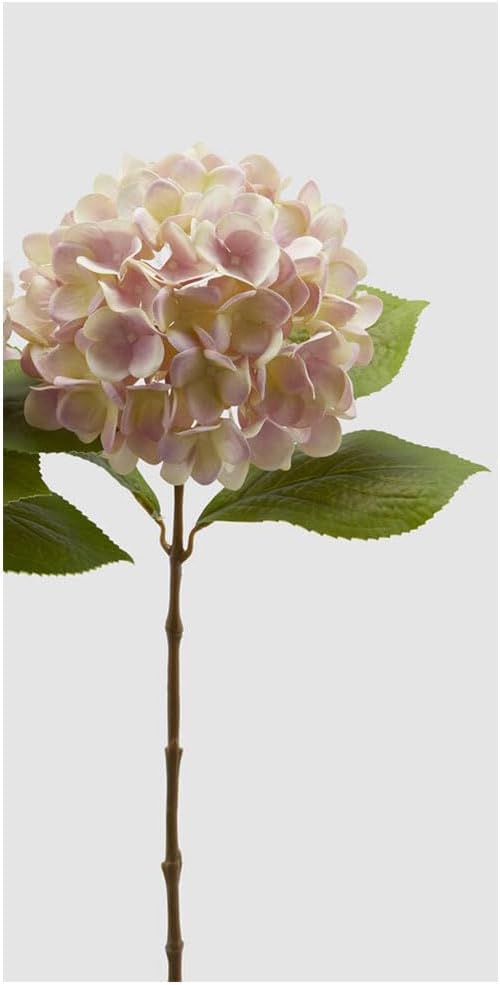 EDG – ORTENSIA NOBILE NEW RAMO CON FOGLIE H.60 CREMA/ROSA ASSORTITI
