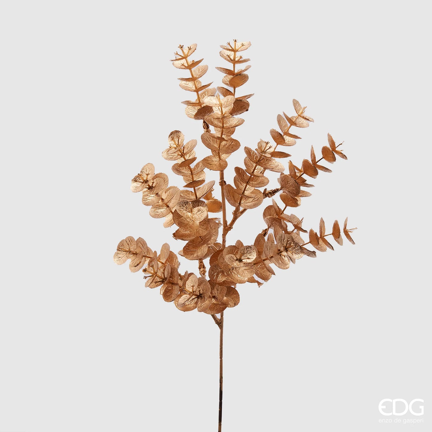 EDG Enzo De Gasperi Ramo di Eucalipto Gold H95 cm Oro