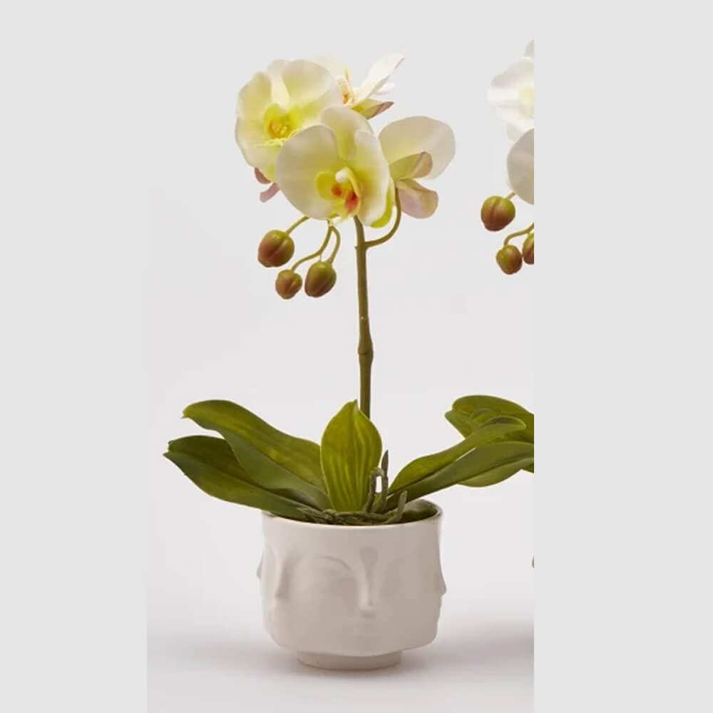 EDG Enzo De Gasperi Orchidea Artificiale H 40 Cm Ass. Bianca o Gialla o Fuxia 1 Pz