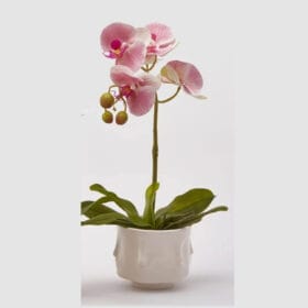 EDG Enzo De Gasperi Orchidea Artificiale H 40 Cm Ass. Bianca o Gialla o Fuxia 1 Pz