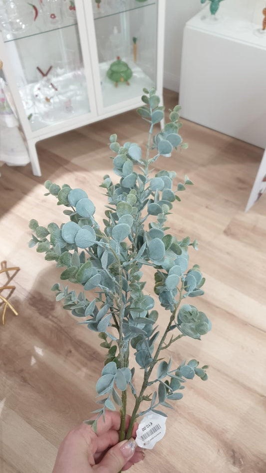 EDG Enzo De Gasperi Cespuglietto di Eucalipto Olis H95 cm