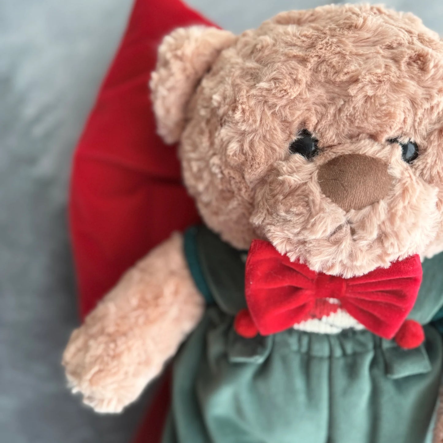 Fiori di Lena Fiocco Imbottito in Velluto con Teddy H50