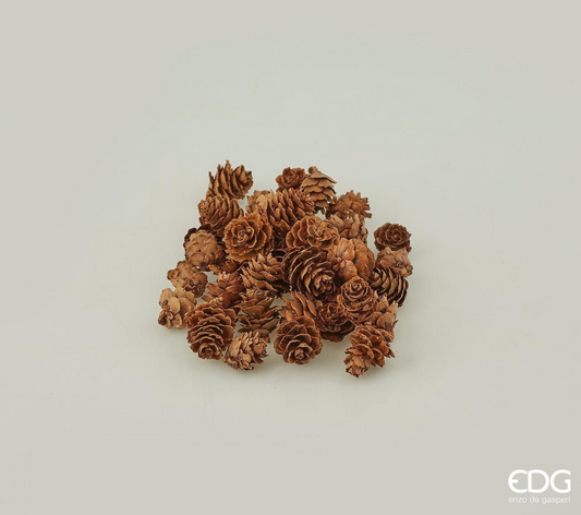 EDG- BOX PIGNE NATURALI DI LARICE